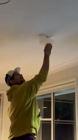 #australia #spiders #huntsman #catchandrelease #aussiespider 