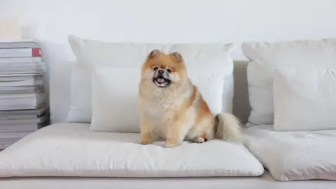 น่ารักไหมขอหัวใจหน่อยซิ #น้องมุมิ