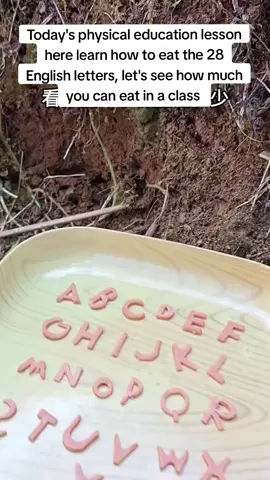 Ants and culture 🐜ABC #funny #ants #fypシ #fyppppppppppppppppppppppp #fyp 