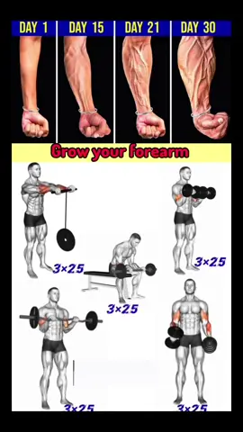 Get Bigger Forearms - Forearms Workout #forearmworkout #armworkout #workouttips #workout 