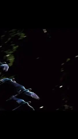 #futbol #celebration #fyp #mundial2014 #brasil🇧🇷 #worldcup #parati 