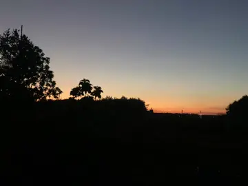 Một buổi chiều tối thật đẹp ở quê, không có gì đặc sắc nhưng đôi khi mang lại cho mình một cảm giác yên bình😌#93binhphuoc#chill#🤎 