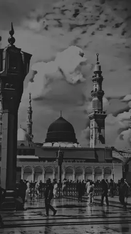 #کلام_من_القلب #مبروك_زيد_الخير #محمود_الحسنات #بسم_الله_الرحمن_الرحيم #foryou 