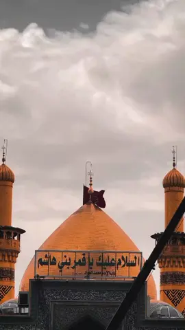 Mara Muslim ع akala hai 😭💔🥀  . . . . . #karbala #salamyahussain #muslimbinaqeel #yaabbas #1millionaudition #foryou #whatsappstatus #viral #viewsproblem #yourfav_cato #pleaseunfrezzemyaccount 