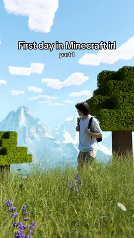 we’ve all been through it #Minecraft #vfx #edit #minecraftmemes 