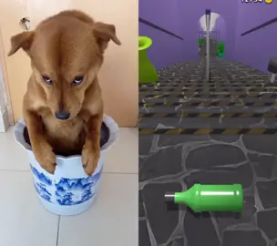 #dogs #fyp #foryou #petlover 