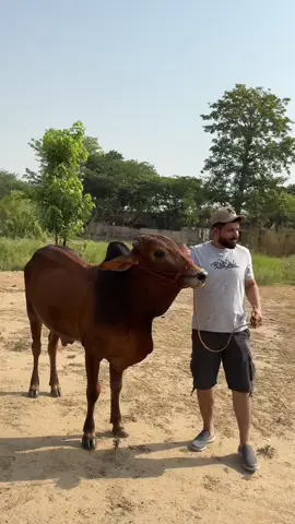 #eidspecial #qurbani #eid #vlogs #eidvlog #pakistan #haseebee #blogger #vlogger #voiceover 