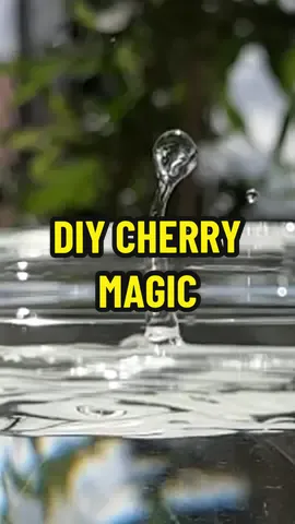 DIY Cherry Magic! 😲🍒 #cherry #lifehacks #parents #planttiktok #plantbased #planttips 