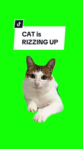 #CapCut CAT RIZZ UP. #greenscreen #greenscreenvideo #greenscreenoverlays #fyp #fypシ #fypage #fypppppppppppppppppppppppppppppppppppppppppppppppppppppppppppppppppppppp #fyppage #fypシ❤️💞❤️ #meme #memes #memestagram #freefirememe #memepage #viral #viralvideos #viralreels #viralvideo #viralpost #meme2024 #cat #cats #catsofinstagram #catlover #catmemes #catmeme #trend #trending #viralcats 