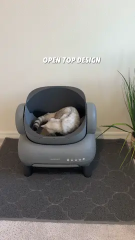We tried the Neakasa M1 Open-Top Self Cleaning Litter Box  Link is in my bio! You can save an additional $30 using code: NEACAT30 A couple features that stood out to us: - unique open top design, great for large cats  - attachable legs that raise the litter box off the ground - very large waste tray, stores 14 days of litter  - sleek design, looks great in my home  #neakasam1 #scoopfreedaysworryfreeways #opentoplitterbox #petowner #petcare #catcare #selfcleaninglitterbox #catlovers #cathealth #catlife #catproducts 