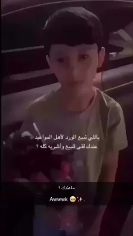 #☹️☹️☹️ #القصيم_بريده_عنيزه_الرس_البكيرية #بريده #بريده #البكيريه #عنيزه #ضليع_رشيد #ابانات #الرس #