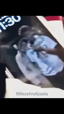 Vargas wallpaper 🫠 #melisavargas #vargas #zehragunes #gunes #fileninsultanlari #turkiye #turkey #vnl2024 #fyp 