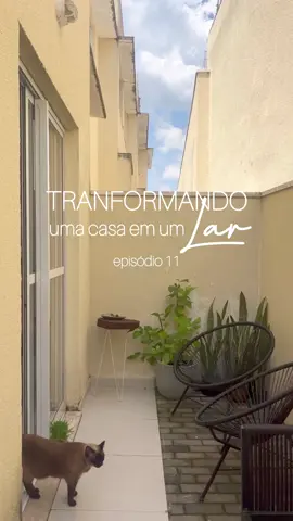 Nossa área externa literalmente com mais vida 🌿 parte 2! #areaexterna #plantasnaareaexterna #jardimvertical #jardimdiferente #transformationdecor #transformaçãodecor 
