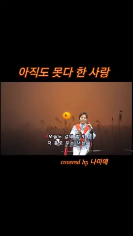 #아직도못다한사랑 #나미애 #원곡 #솔개트리오 #1985 