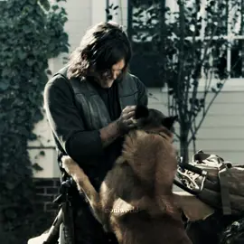 #DARYL #DOG—rest in peace Seven🕊️💔 | scp: onixneonscp, cc: courteneyspillow || #daryldixon #dogthewalkingdead #darylanddog #normanreedus #daryldixonedit #normanreedusedit #twd #thewalkingdeadedit #thewalkingdead #darylanddogedit #aftereffects #aftereffectsedit #ae #edit #fyp #foryoupage #fypviral #viral #dc #xyzbca #fyppppp #dontletthisflop | @𝓚𝓱𝓵𝓸𝓮 @winona's wife<33 @winona ryder ౨ৎ @𝚕𝚎𝚎 𝚙𝚎𝚛𝚛𝚢 @cori @ella ❦ @˗ˋ adel  ໑ . ˚ @anaeedit ྀི @sofia ⸆⸉🪐 @noni @alina 🧟‍♀️ @Yadira @🧟‍♀️🏹ꨄ @nxksvd (Carol's version) @𝓟𝔁𝓵𝓮𝓽𝓲𝓮𝓻ꨄ @𝒔𝒂𝒎𝒎𝒚 @Andrew 