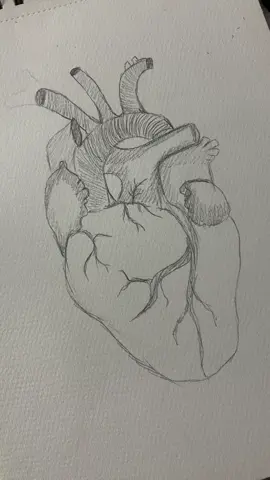 تلوين القلب بالڤيديو البعدة 🎀♥️♥️♥️  #اكسبلور #اكسبلورexplore #اكسبلور_تيك_توك #fyp #fypシ゚viral #fypage #جايه_من_الاكسبلور_لايك_فولو #رسم #art #ar #artist #artistsoftiktok 