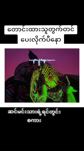 #ကျောက်ဆည်ဆင်အက #ကျောက်ဆည်သားလေး #ငပိချက် 