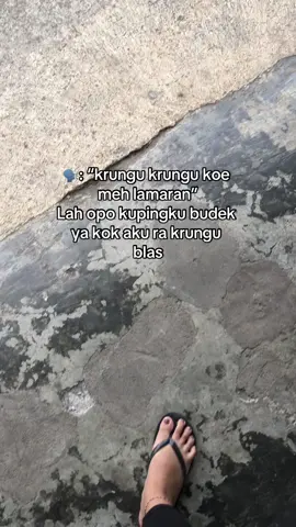 Wes enek enek ae😭#berandatiktok #fyp 