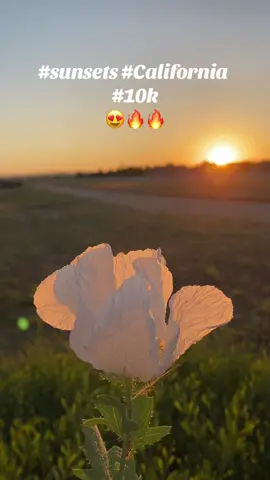 #fyp #10k #Roadto10k #nature #sunsets 