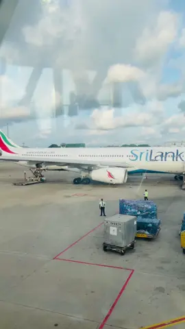 පිටරටකට ආවම තමයි දන්නේ ලෝකේ තියෙන රසම කෑම එක අම්මගේ කෑම එක කියල.. #ඇඹ්ලිපිටියේ_අපි #srilankan_tik_tok🇱🇰 #srilanka #foryou #srilankan #කොරියන්_life❤️ #rjchamee 