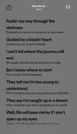 Avicii- Wake Me Up (2013) #music #lyrics #fyp #foryoupage #parati #foryou 