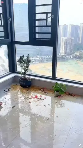 sapu wiper 3in1 bisa diputar, #sapu #sapuwiper #sapuwiperserbaguna3in1 #sapupembersih 