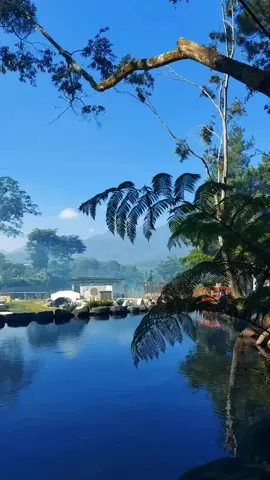 📍 Telaga Madiredo, Permata Tersembunyi di Malang! 🌿 Hai, Sahabat TikTok! Mau liburan seru sambil menikmati keindahan alam? Yuk, datang ke Telaga Madiredo! ✨ Telaga Madiredo adalah danau alami yang tersembunyi di Desa Madiredo, Malang. Dikelilingi oleh perbukitan hijau dan pepohonan rimbun, tempat ini cocok banget buat kamu yang ingin refreshing dari hiruk pikuk kota. 🏊‍♂️ Di sini, kamu bisa berenang di air yang jernih dan sejuk, atau sekadar duduk santai di tepi telaga sambil menikmati pemandangan yang menenangkan. 📸 Jangan lupa bawa kamera, ya! Banyak spot foto keren yang instagramable banget! Dijamin feed kamu bakal makin kece! 🚶‍♀️ Akses menuju telaga ini juga seru, kamu bisa trekking ringan menyusuri jalan setapak yang dipenuhi keindahan alam. 💡 Tips: Datang pagi atau sore hari untuk menikmati suasana yang lebih sejuk dan nyaman.Jadi, tunggu apa lagi? Yuk, rencanakan perjalananmu ke Telaga Madiredo dan rasakan sensasi liburan yang berbeda! 🌊 💚#WisataAlam #TelagaMadiredo #ExploreMalang #LiburanSeru #tiktoktravel @djalaninwisatajay @pariwisatajawatimur 