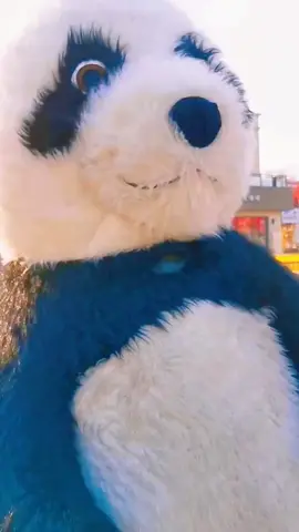 #funnyvideos #funny #funnyanimals #comedyvideos #comdy #lucu #fyp #fypシ #foryou #xuhuong 