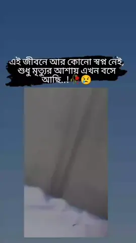 #মেনশন_করুন_সেই_বেঈমান_মানুষটাকে_🙅‍♂️💔 #foryou #foryoupage #tiktok #bdtiktokofficial🇧🇩 #viralvideo #RA #রাফির_শেহজাদী🥰 #রাফির_কাঙালিনী #দুবাই_প্রবাসীর_বউ✈🇦🇪✈️ @TikTok @TikTok Bangladesh @Sharmin Nahar Rimu @🍁🍁🍁omi🍁🍁🍁 @Imran Mahmudul @💔 রাফির_কাঙ্গালীনি🩹 @💔 রাফির_কাঙ্গালীনি🩹 @md raphine Hossain 