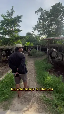 Iduladha tahun ini kalian mau kurban apa sahabat??? Kurban kambing, sapi atau Korban Perasaan 🤣🤣🤣 #fyp #lucu #iduladha #kurban #videolucu #like 