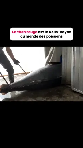 #food #pourtoi #delicious #artisan #thon 