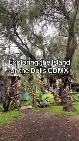 Did anyone else have a haunted experience here? Bc it was so eerie for me… still one of the best experiences of my life I loved it here.  #isladelasmuñecas #bucketlist #bucketlisttravel #haunted #hauntedplaces 