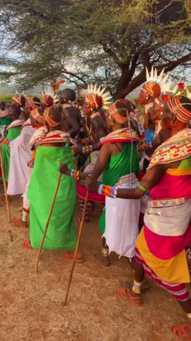 📍Samburu  Song by @KING LAISO 0757239487 for book  #fyp #culture #samburutiktokers #kajiadotiktokers #naroktiktokers👐 #kilgoristiktokers #marsabittiktok #kenyantiktok #laikipiatiktokers❣️❣️ #kinglaisonmusic 