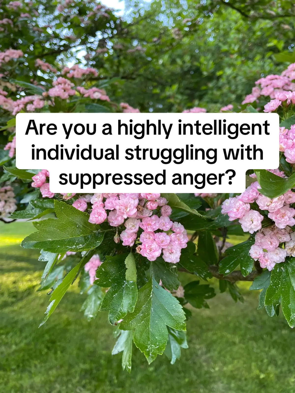 I've been in your shoes and understand the consequences of harboring anger. I transformed my life by confronting and understanding my emotions, identifying the root causes of my anger. If you're ready to transform your life, check the resources in the bio. #highlyintelligent  #giftedkid #gifted  #emotionalwellness 