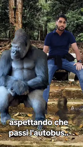 #gorilla #autobus #viralvideo #enzo #CapCut 