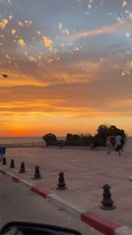 J’adore ❤️🫶🏻🫶🏻 #monastir #palmier #bestplace #bestview 