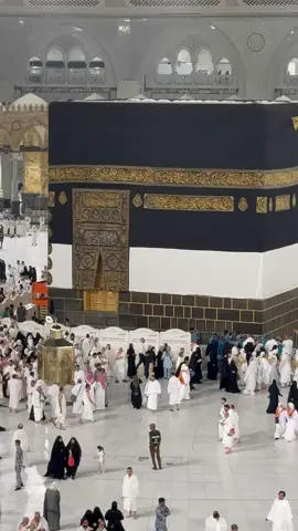 #يوم الترويه 8 الحرم فاضي