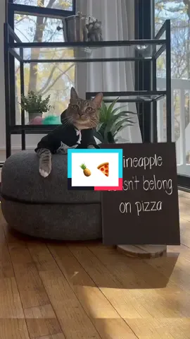 he said what he said.