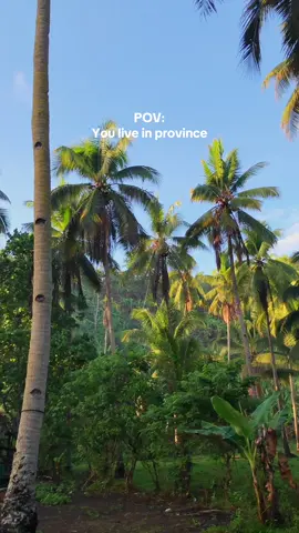 Province is the best🍃#fyp 