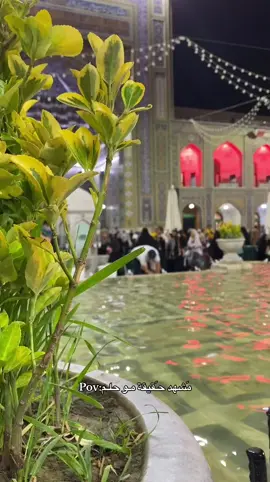 أنيس الـنفوس❤️🕊️. #الامام_الرضا_عليه_السلام #مشهد #ايران🇮🇷 #ستوريات #اكسبلورexplore #الشعب_الصيني_ماله_حل😂😂 #العراق_السعوديه_الاردن_الخليج #ترند_تيك_توك #اكسبلور_تيك_توك 