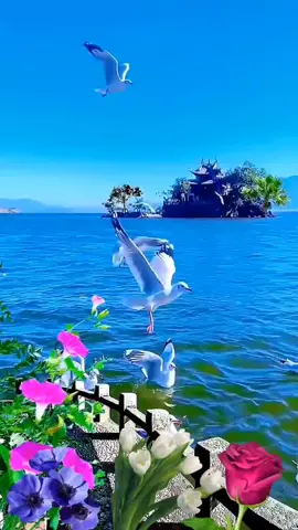 Can’t miss the beauty👍❤️#scenery#beautiful#nature#fyp#foryou 