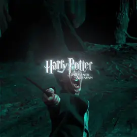 Harry Potter | Ib@ares #harrypotter #harryedit  #harrypotterandtheprisonerofazkaban #movie #fyp #siriusblack #siriusblackedit 