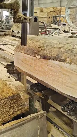 #woodworking #foryoupage #woodworkingproject 
