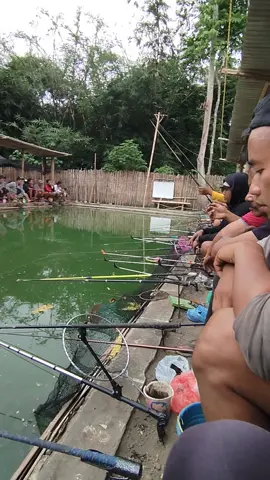 Alasan kenapa aku gak pake benang PE adalah takut jindel!! mancing di kolam kecil dengan jarak antar lapak segini sangat rawan terjadi kejindelan antar pemancing, pake senar nilon mempermudah ngebenerinnya ktika jindel, kalo pake PE ya wassalam. Aku pake senar Yakuza Sinori kek di keranjang kuning, ayo buruan beli biar kita samaan pake senar Yakuza biar gak gampang jindel 😁 #yakuzasinori #akudanjoran #fishinglife 