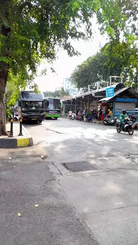 Po Maju Lancar seri B Keberangkatan sian#busakap #executiveclass #busmaniaindonesia🇮🇩 #terminalgrogol #tiktokvidiotrending 
