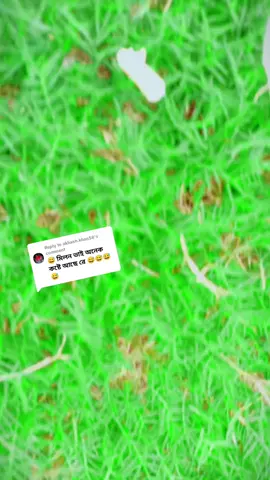 Replying to @akhash.khan58#foryou #My #plz #plesse_support_me🙏🙏🙏 #gaibaandgarpola😡😡😡 #KingRobiul143 @Mb.Ashik #😂😂😪😅#বড় ভাইয়ের জন্য সবাই দোয়া করবেন 🙏🙏🙏