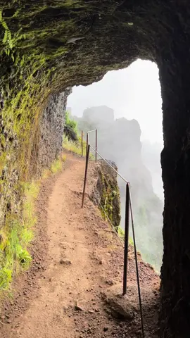 📍PR1 Hiking Route, Madeira, Portugal 🇵🇹 Is it too much content in my feed from the most epic trail in Madeira? 😅 #DiscoverMadeira #ExploreNature #NatureLovers #NaturePhotography #Trailblazing #HikingAdventure #ScenicRoutes #OutdoorEscape #HikingTrail #MountainViews #MadeiraHiking #HikingParadise #PicodoArieiro #TravelInspiration #ExplorePortugal 