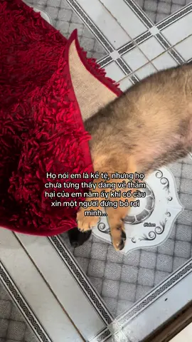 Cả đời này, không bao giờ em quên khoảng thời gian tồi tệ ấy.. #xuhuong #j4f #fyp #xh #xuhuonggggggggggggggggg #ldon #nhactamtrang #viral #trending #buon_tam_trang #dog #🥰 #flop #? #yeuthuong #tinhyeu #2024 #sad #buontamtrang 