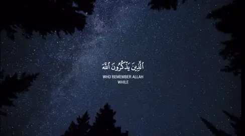 #قران #القران_الكريم #quran #ابو_بكر_الشاطري 