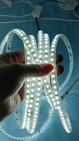 Dây led 10 mét 2 hàng trắng như tuyết có sẵn nguồn #dayled10m #daydenledtrangtri #denledmautrang #denledthongminh #xuhuong 